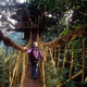 Illustration for article titled Bellavista's Biodigesting Treehouses Are Endor on Earth
